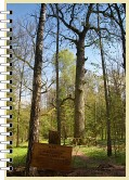 View 04